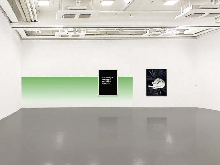 hattenberger-knstvrn_das-waechst-sich-raus-ansicht01