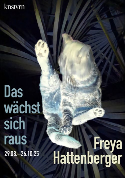 hattenberger-knstvrn_das-waechst-sich-raus-plakat